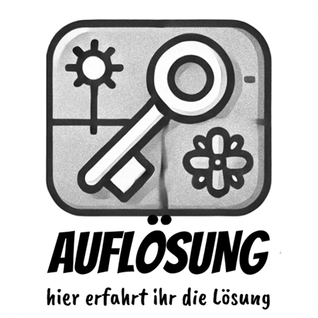 Auflösungs-Button - hier erfahrt ihr die Lösung